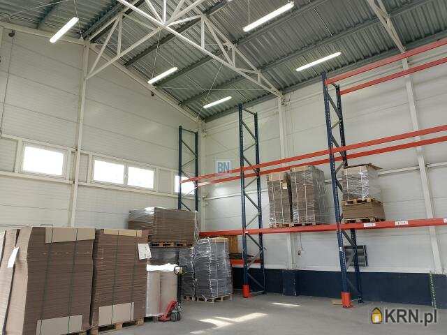 Rybnik, ul. , , Lokal użytkowy  do wynajęcia