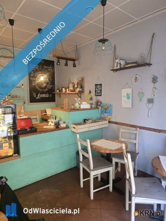 , Wrocław, Stare Miasto, ul. T. Kościuszki, Lokal użytkowy  do wynajęcia