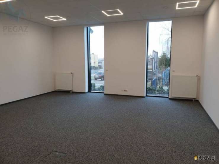 Poznań, Grunwald, ul. Kopanina, Lokal użytkowy  do wynajęcia, 