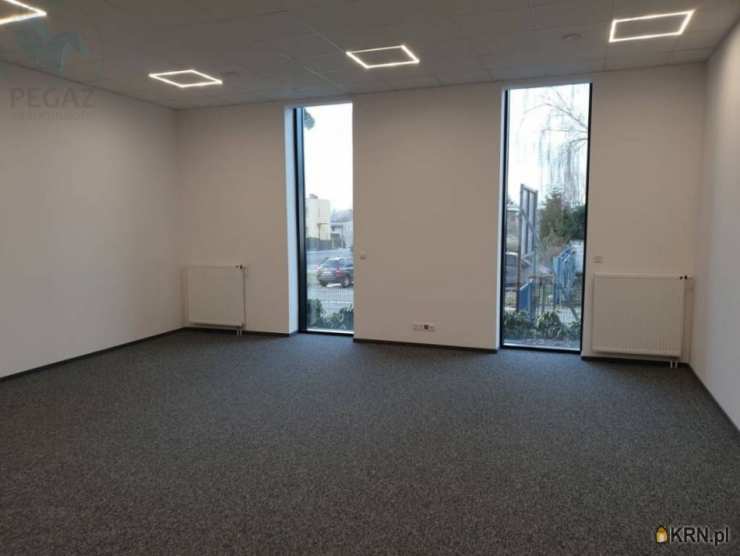 Poznań, Grunwald, ul. Kopanina, , Lokal użytkowy  do wynajęcia