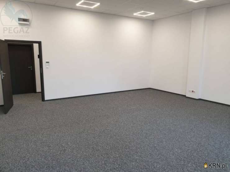 , Poznań, Grunwald, ul. Kopanina, Lokal użytkowy  do wynajęcia