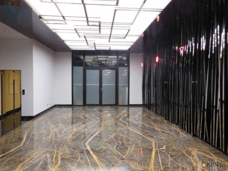 Pegaz Nieruchomości, Lokal użytkowy  do wynajęcia, Poznań, Grunwald, ul. Kopanina