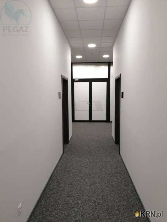 Pegaz Nieruchomości, Lokal użytkowy  do wynajęcia, Poznań, Grunwald, ul. Kopanina
