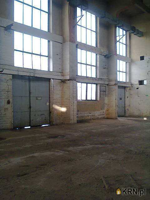 Lokal użytkowy  do wynajęcia, Chorzów, ul. , 