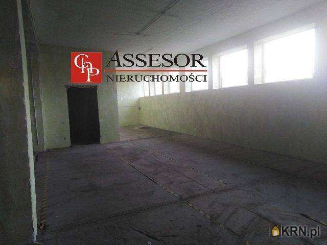 Kalisz, ul. , , Lokal użytkowy  do wynajęcia