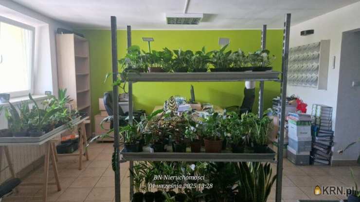 Krzeszowice, ul. , Lokal użytkowy  do wynajęcia, 8 pokojowe