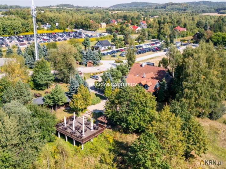 Cholerzyn, ul. , Lokal użytkowy  na sprzedaż, 