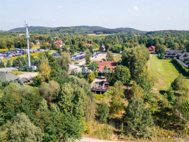 Cholerzyn, ul. , , Lokal użytkowy  na sprzedaż