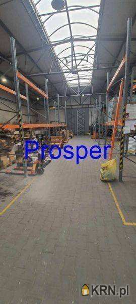 Zabrze, ul. , Lokal użytkowy  do wynajęcia, 