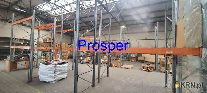 , Lokal użytkowy  do wynajęcia, Zabrze, ul. 