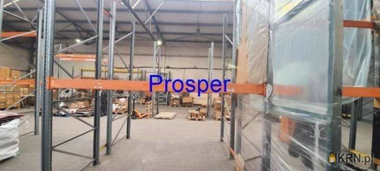 Prosper - Nieruchomości, Lokal użytkowy  do wynajęcia, Zabrze, ul. 