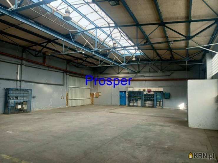 Lokal użytkowy  do wynajęcia, , Zabrze, ul. 