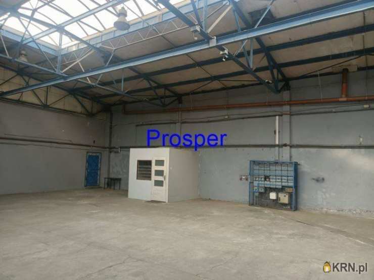 Zabrze, ul. , Lokal użytkowy  do wynajęcia, 