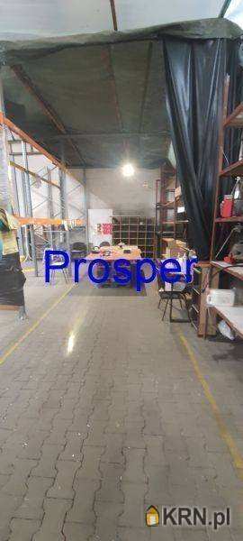 , Zabrze, ul. , Lokal użytkowy  do wynajęcia