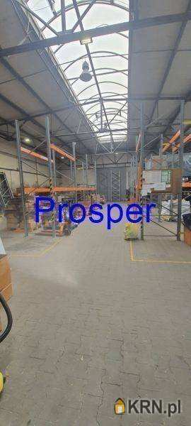 Lokal użytkowy  do wynajęcia, Zabrze, ul. , 