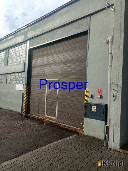 Lokal użytkowy  do wynajęcia, , Zabrze, ul. 