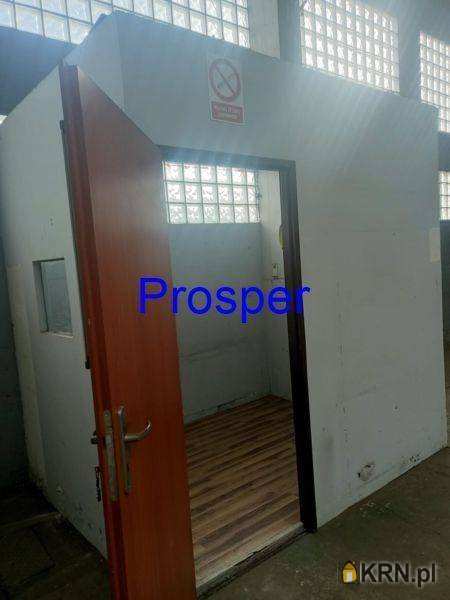 Zabrze, ul. , , Lokal użytkowy  do wynajęcia