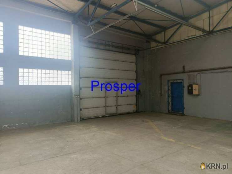 , Zabrze, ul. , Lokal użytkowy  do wynajęcia