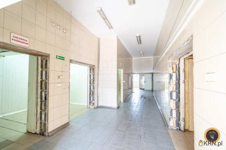 10 pokojowe, Lokal użytkowy  na sprzedaż, Ruda Śląska, ul. Magazynowa