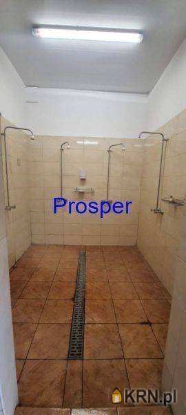 Ruda Śląska, ul. , Lokal użytkowy  do wynajęcia, 