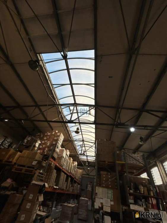 3 pokojowe, Zabrze, ul. , Lokal użytkowy  do wynajęcia