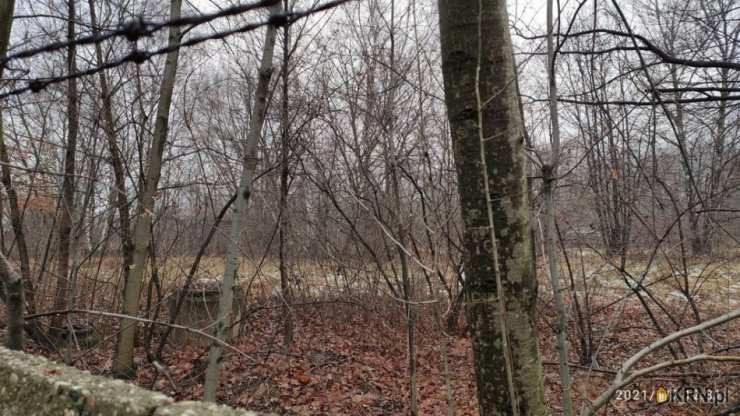 Lokal użytkowy  na sprzedaż, Tarnów, ul. , 