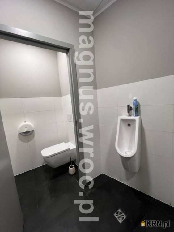 , Lokal użytkowy  do wynajęcia, Wrocław, Stare Miasto, ul. Rynek