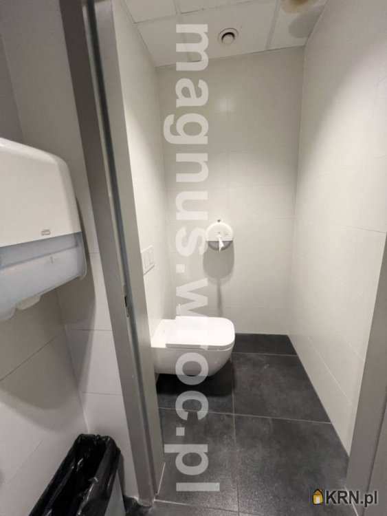 Wrocław, Stare Miasto, ul. Rynek, Lokal użytkowy  do wynajęcia, 