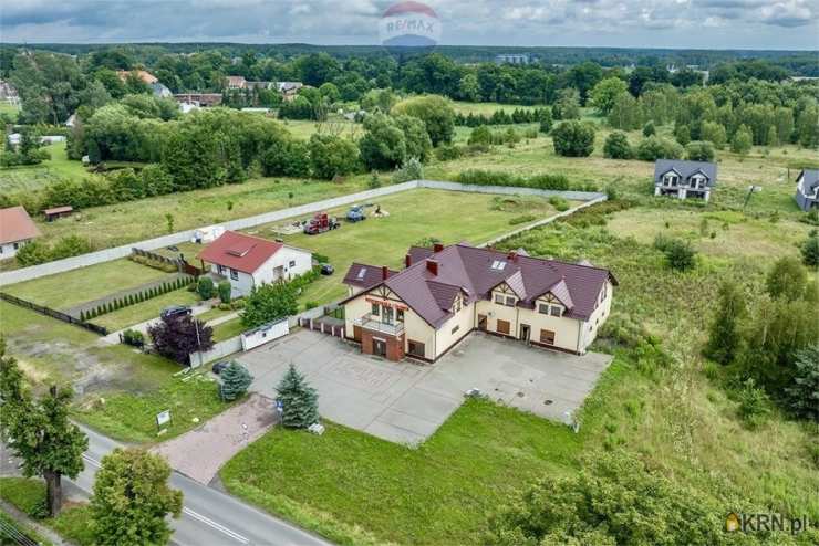 Zielona Góra, ul. , Lokal użytkowy  do wynajęcia, 