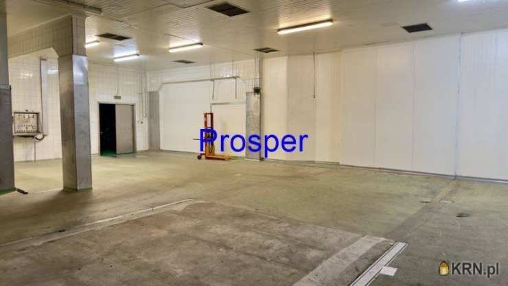 Lokal użytkowy  do wynajęcia, Katowice, ul. , 