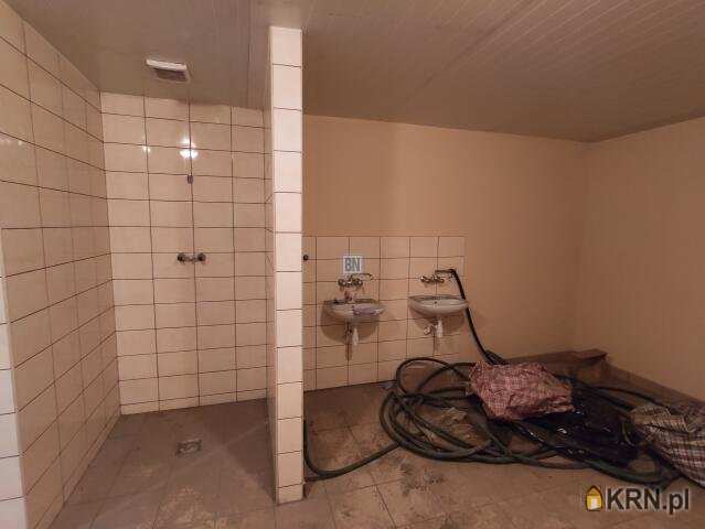 Gliwice, ul. , 2 pokojowe, Lokal użytkowy  do wynajęcia