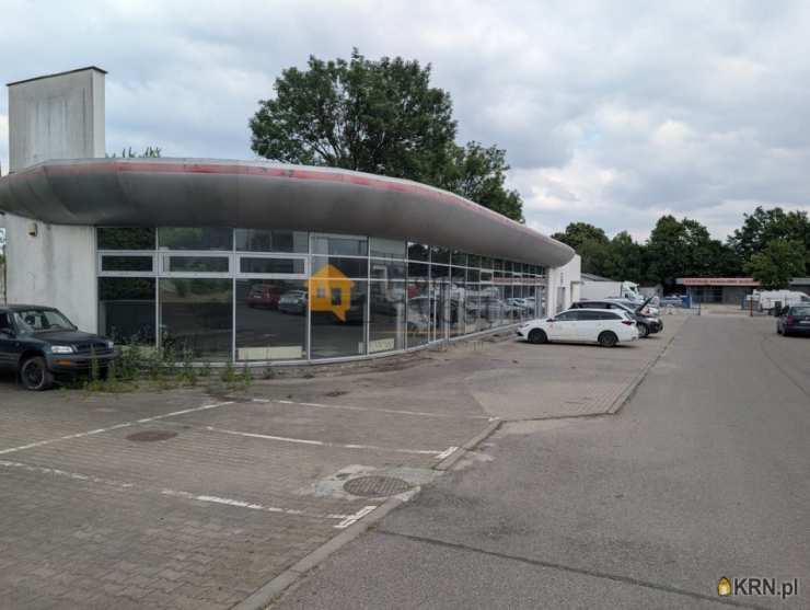 Legnica, ul. , Lokal użytkowy  do wynajęcia, 