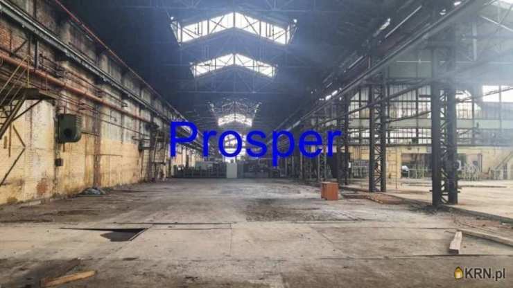 Lokal użytkowy  do wynajęcia, Sosnowiec, ul. , 