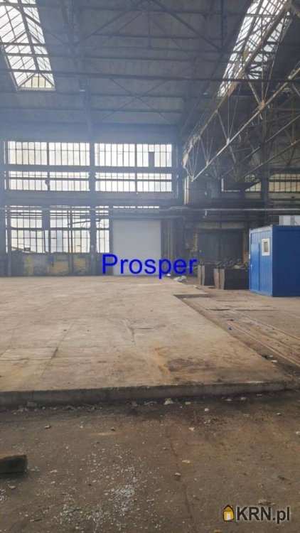 Sosnowiec, ul. , , Lokal użytkowy  do wynajęcia