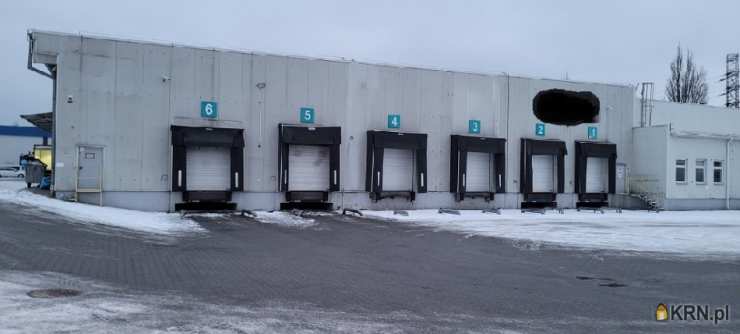 Lokal użytkowy  do wynajęcia, Toruń, Bielawy, ul. , 