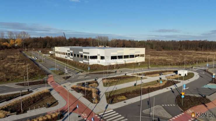 , Lokal użytkowy  do wynajęcia, Kraków, Nowa Huta, ul. Igołomska