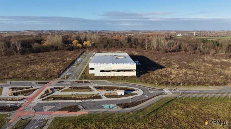 Kraków, Nowa Huta, ul. Igołomska, Lokal użytkowy  do wynajęcia, 