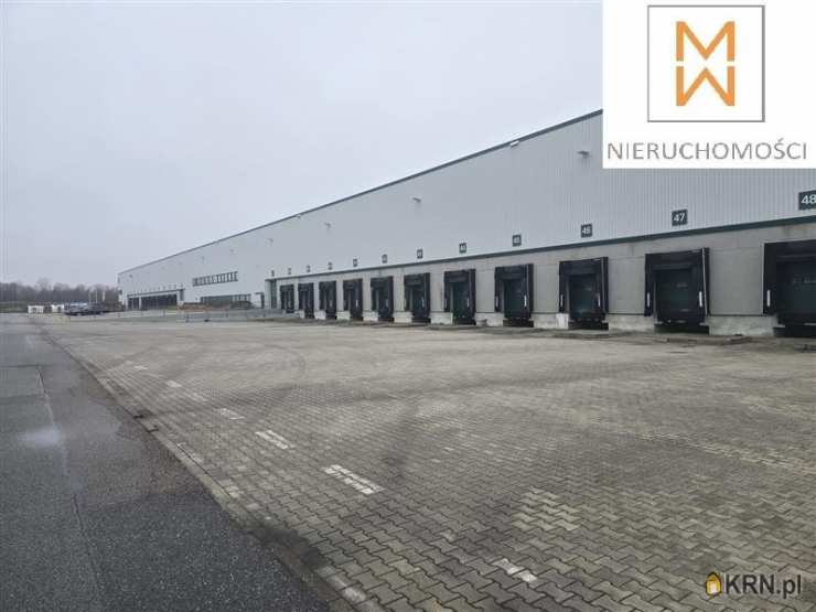 Lokal użytkowy  do wynajęcia, Gdańsk, Kokoszki, ul. Budowlanych, 