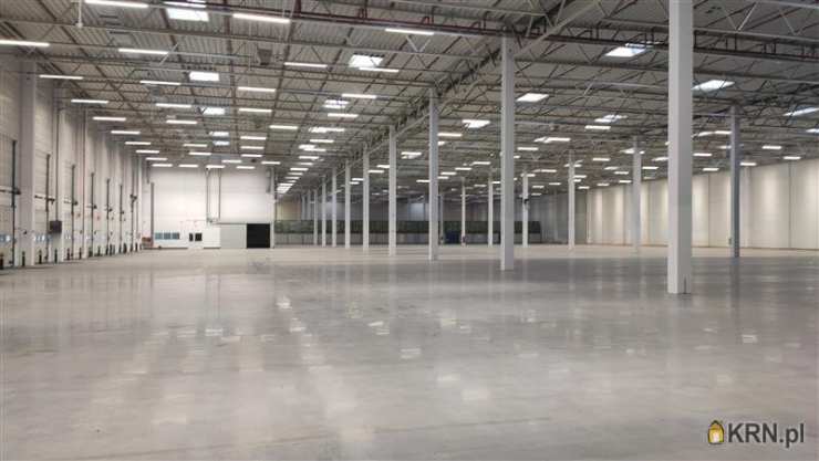 Lokal użytkowy  do wynajęcia, , Gdańsk, Kokoszki, ul. Budowlanych