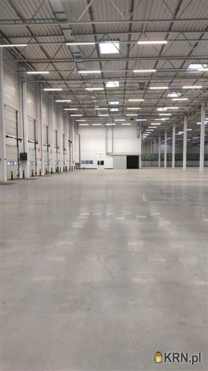 Gdańsk, Kokoszki, ul. Budowlanych, Lokal użytkowy  do wynajęcia, 