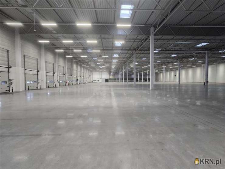 Lokal użytkowy  do wynajęcia, Gdańsk, Kokoszki, ul. Budowlanych, 