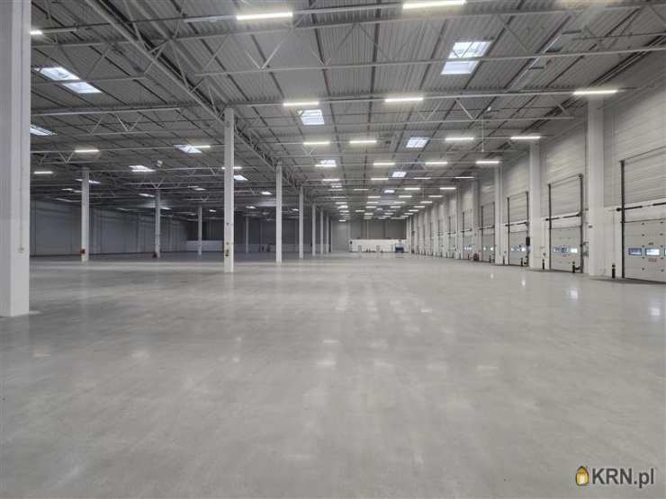 Gdańsk, Kokoszki, ul. Budowlanych, Lokal użytkowy  do wynajęcia, 