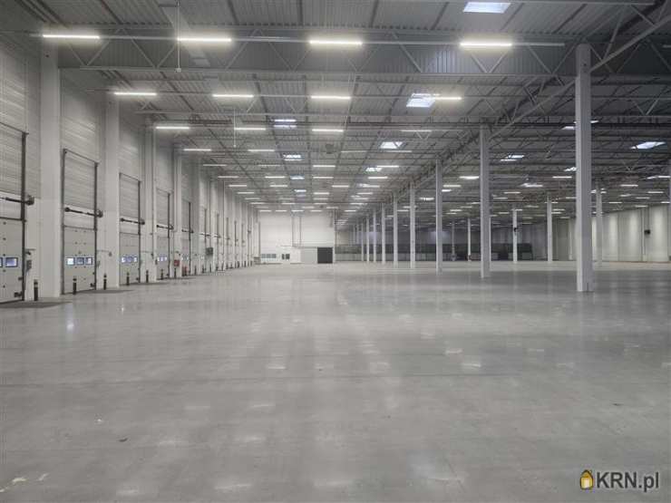 Gdańsk, Kokoszki, ul. Budowlanych, , Lokal użytkowy  do wynajęcia