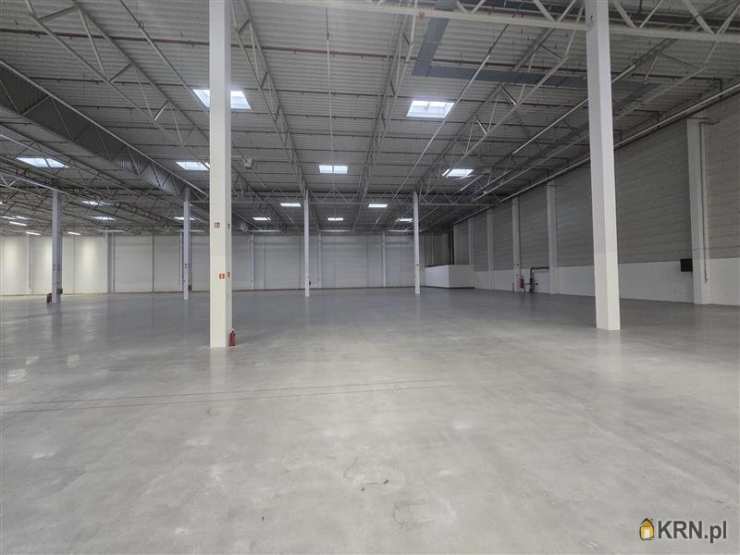 , Lokal użytkowy  do wynajęcia, Gdańsk, Kokoszki, ul. Budowlanych