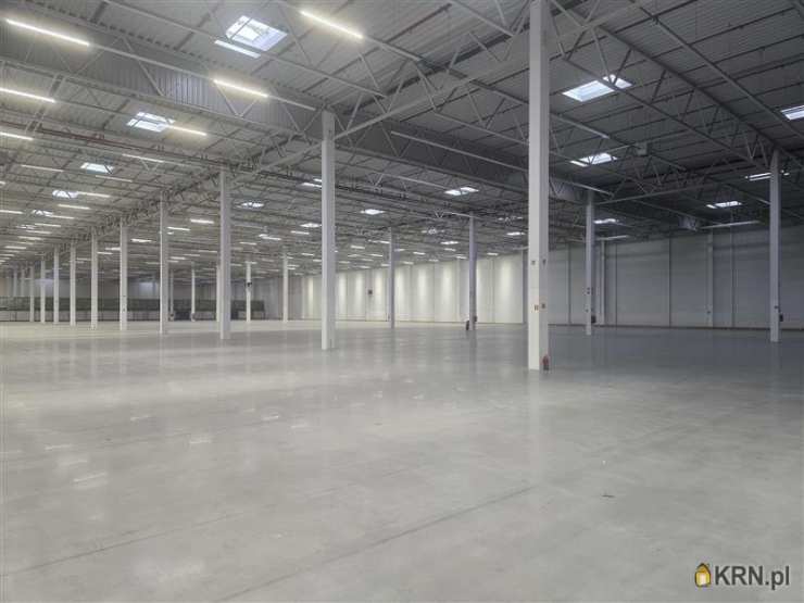 MW Sp. z o.o., Lokal użytkowy  do wynajęcia, Gdańsk, Kokoszki, ul. Budowlanych