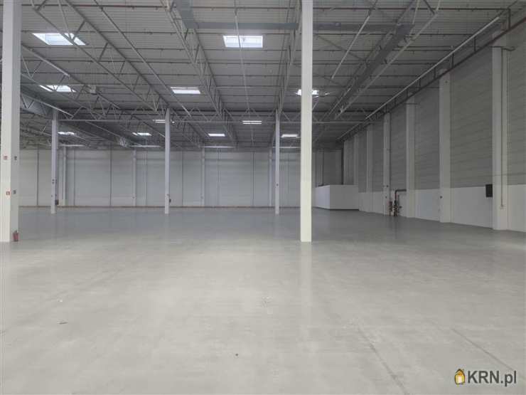 Lokal użytkowy  do wynajęcia, Gdańsk, Kokoszki, ul. Budowlanych, 