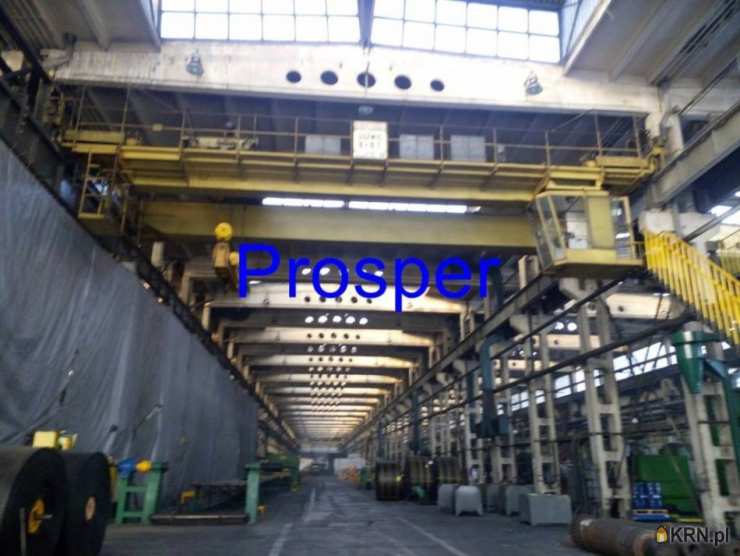 Lokal użytkowy  do wynajęcia, Bytom, ul. , 