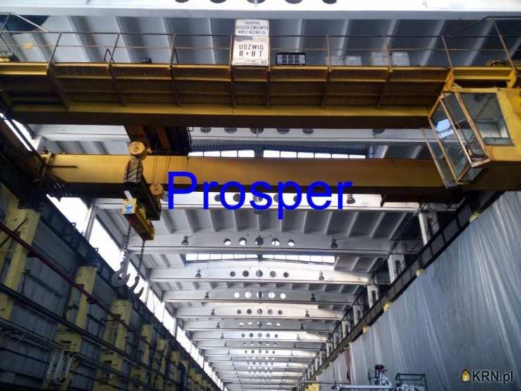 Lokal użytkowy  do wynajęcia, , Bytom, ul. 