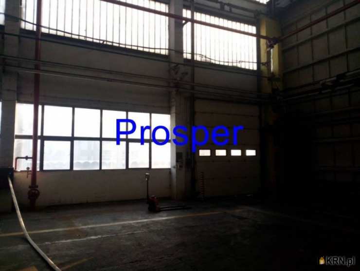 Bytom, ul. , Lokal użytkowy  do wynajęcia, 