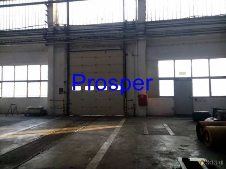 Bytom, ul. , , Lokal użytkowy  do wynajęcia